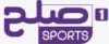 Solh Sports 1 logo